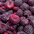 Black Raspberry Luxaroma