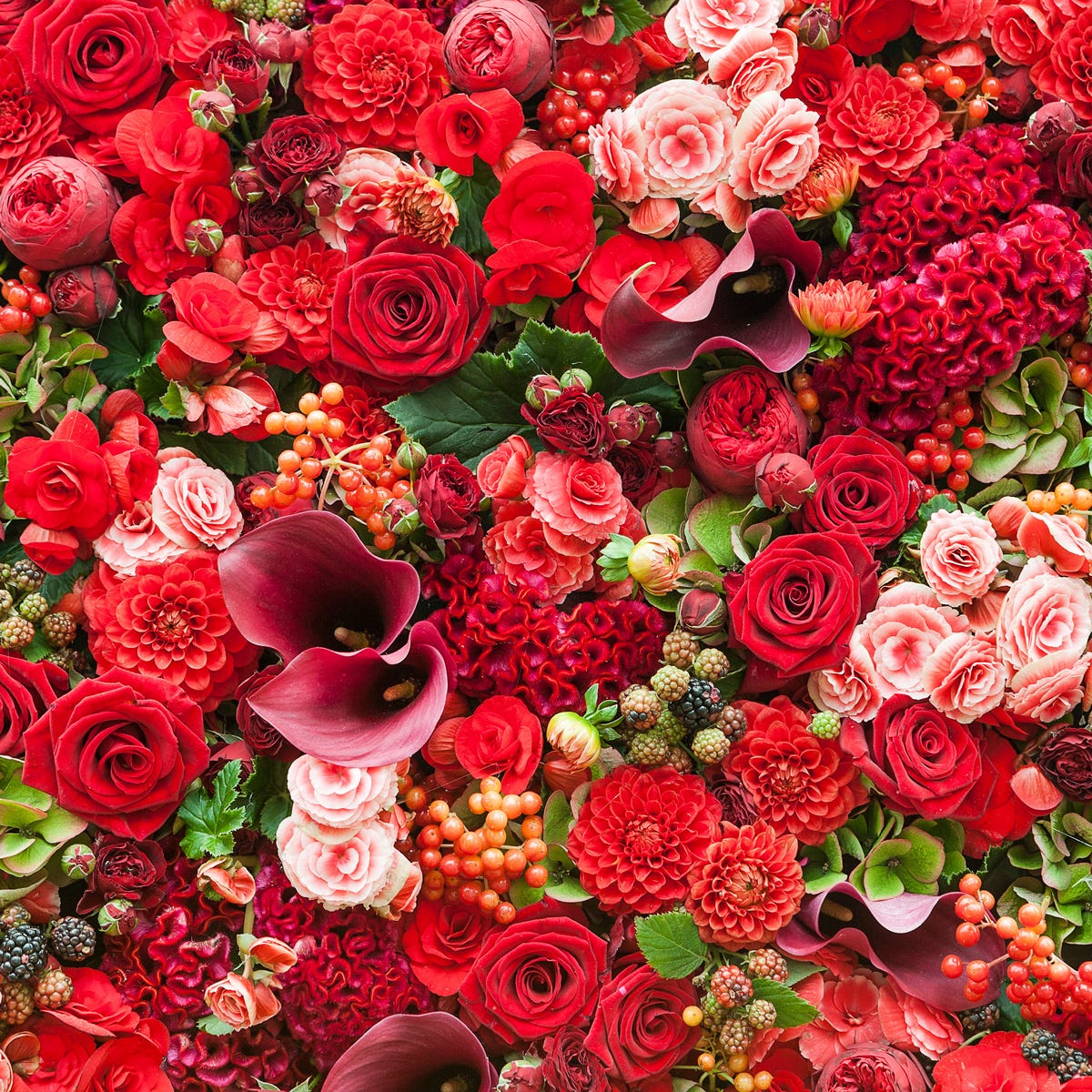 Freesia & Summer Berries Luxaroma