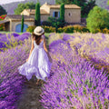 French Lavender Luxaroma