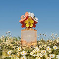 Daisy Fresh Type