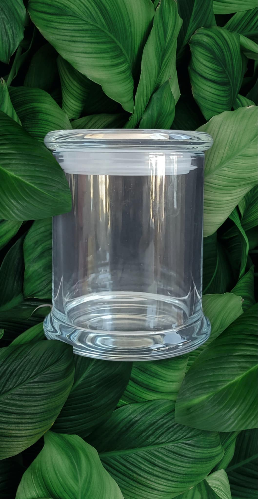 Danube Style Flat Lid Clear