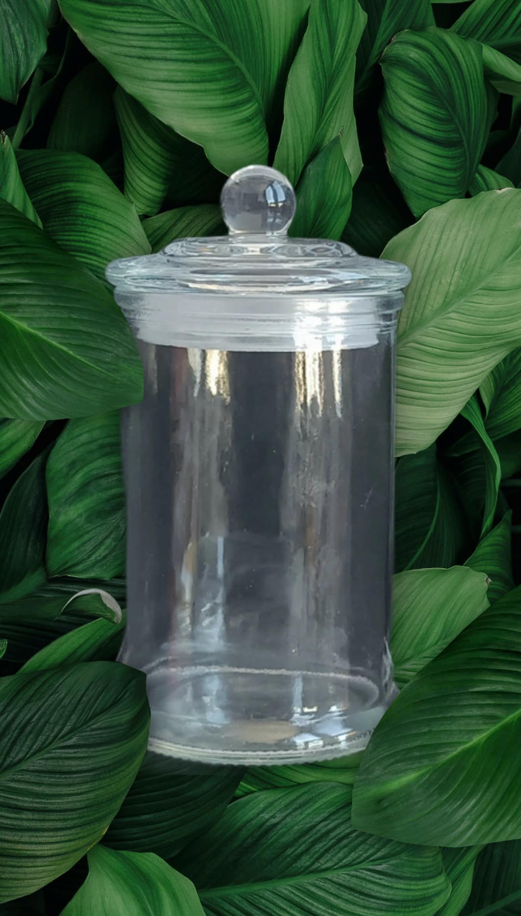 Danube Style Knob Lid Clear