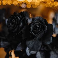 Black Rose & Oud Luxaroma