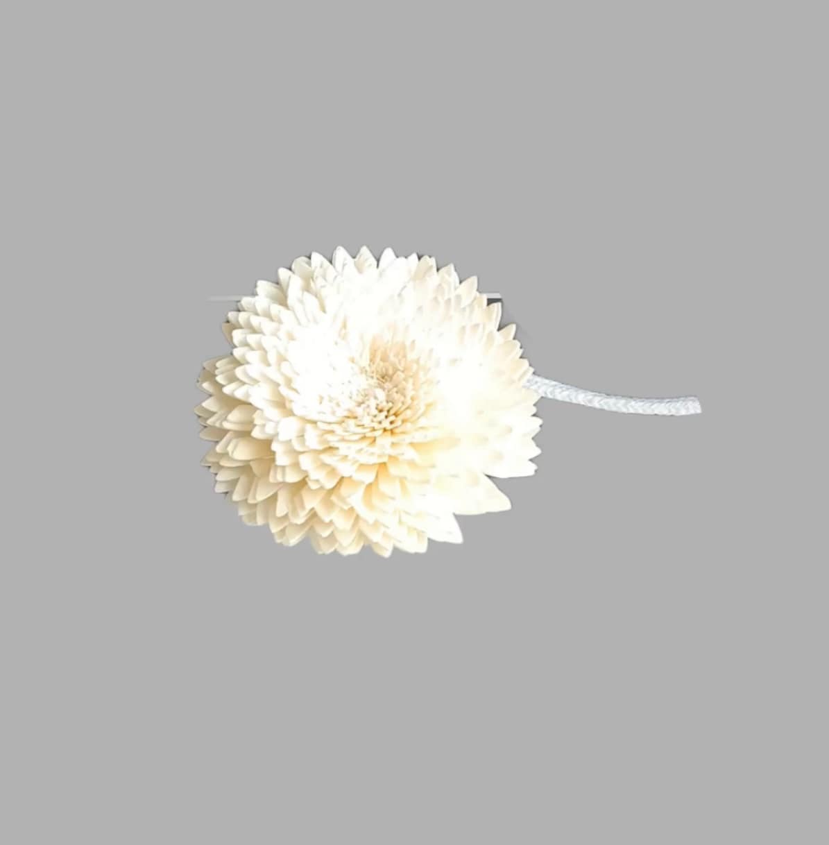 Sola Flower #1 Diffuser Reed 8cm