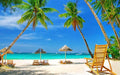 Lifes A Beach