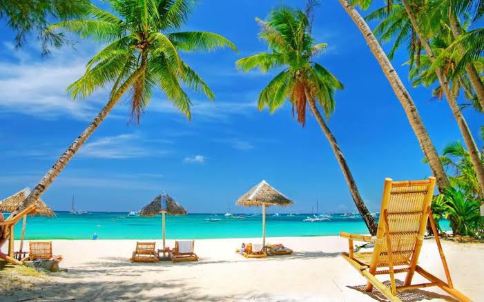 Lifes A Beach