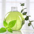 Eucalyptus & Spearmint