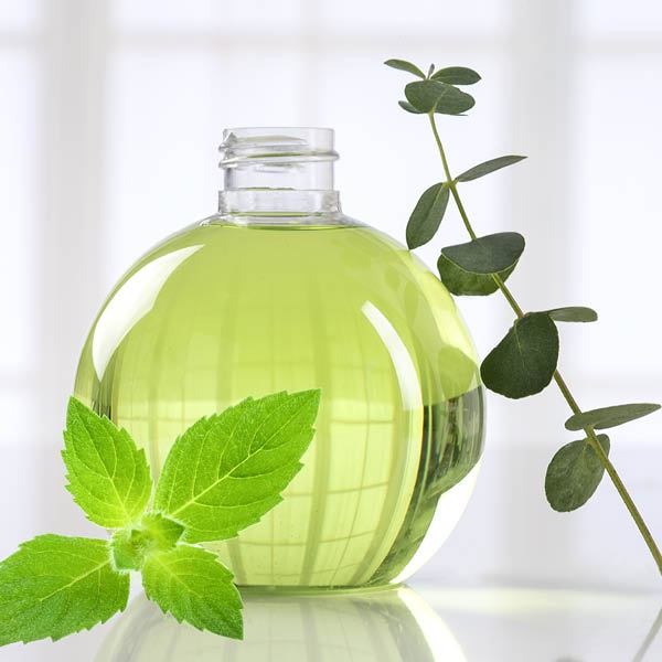 Eucalyptus & Spearmint