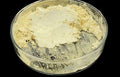 Mica Sz249A Gold Surprise