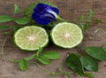 Bergamot & Patchouli