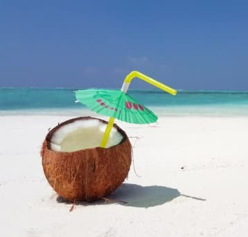 Tropical Coconut