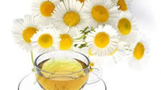 Chamomile