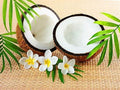 Coconut & Frangipani