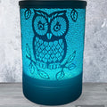 Black Hoot