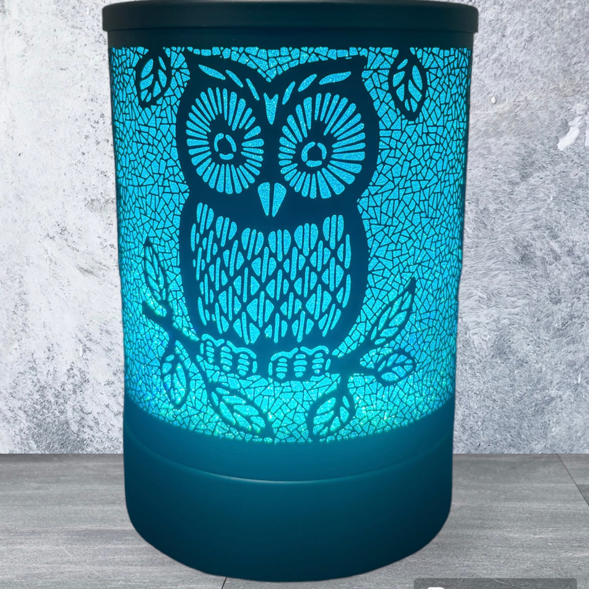 Black Hoot