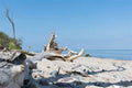 Sea Salt & Driftwood