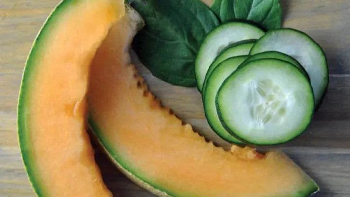 Cucumber & Melon BBW Type