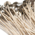 Eco Wicks 60Ply