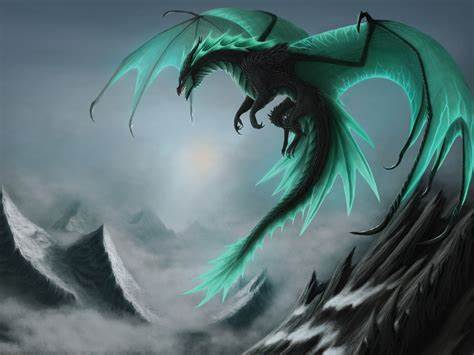 Dragons Blood