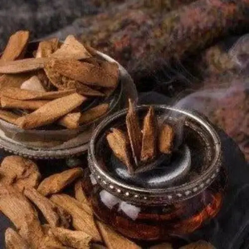 Gucci Oud Type