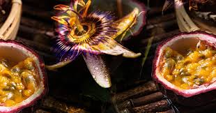 Passionfruit & Purple Violet