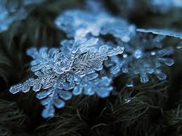 Snowflakes & Cashmere Type