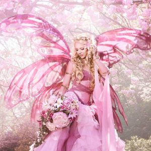 Pink Fairy Candy & Fairy Floss
