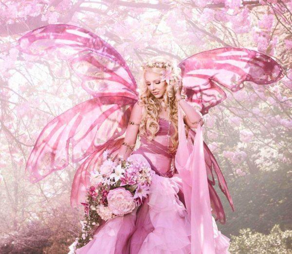 Pink Fairy Candy & Fairy Floss